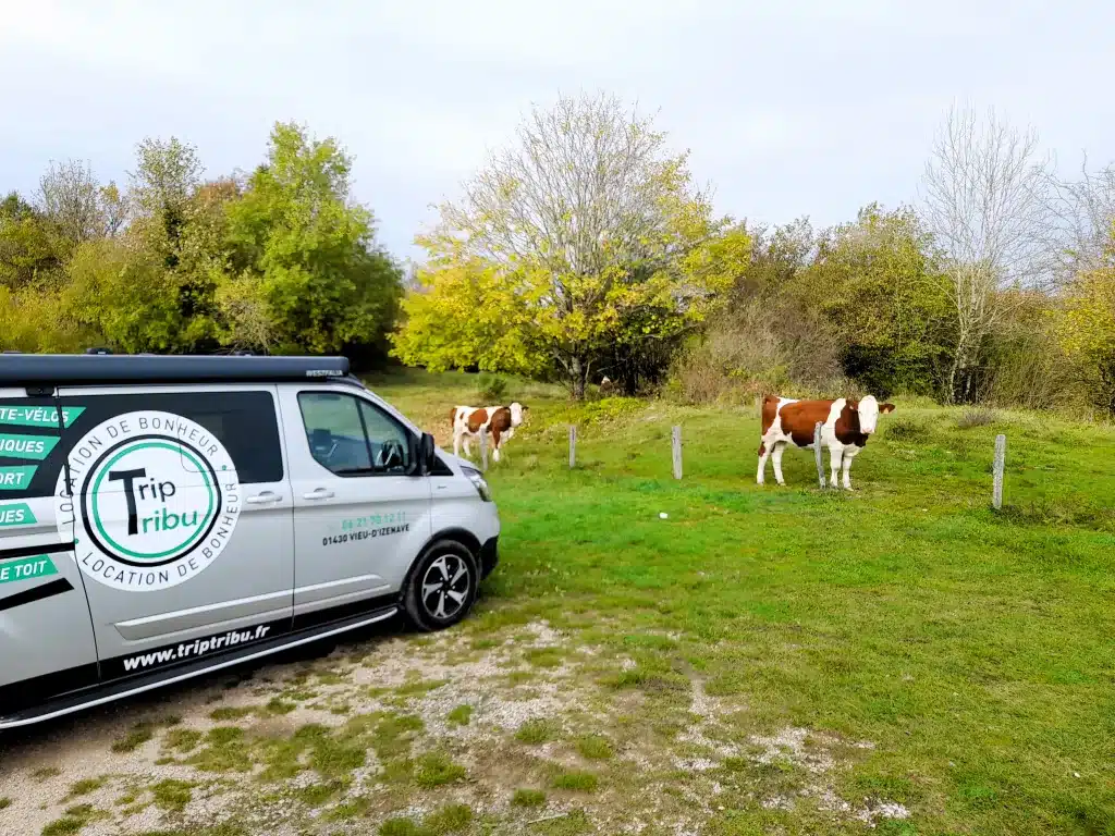 Van Aménagé Ain 01